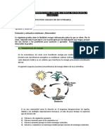 2do Secundaria_PRUEBA de CTA