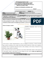 Guia 4° Primera Entrega III Periodo