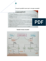 Plan N° 8.  El mapa conceptual (corregida)