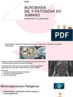 Flora Microbiana Comensal y Patogena en El Ser Humano