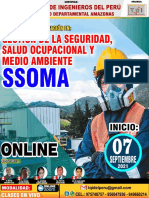 Diploma Especialización SSOMA