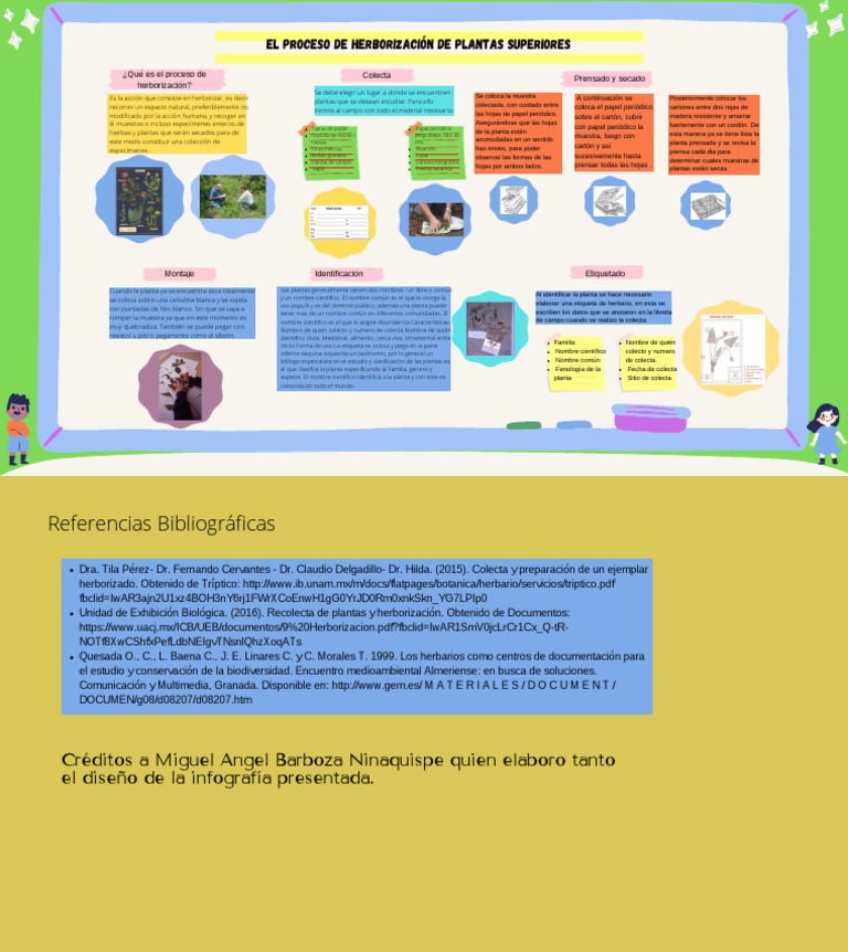 Infografía Sobre Técnicas de