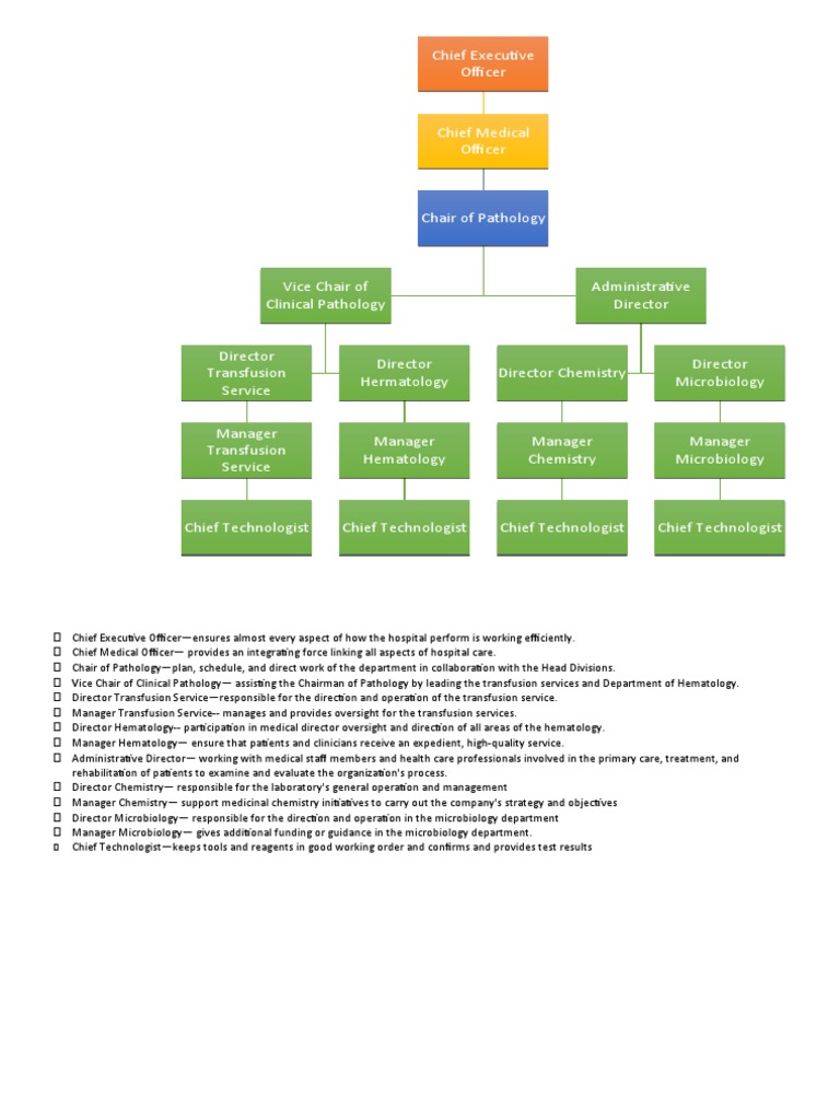 Organizational Chart | PDF | Pathology | Clinical Pathology