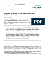 DNA Virus Vectors For Vaccine Production