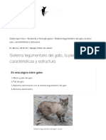 Sistema Tegumentario Del Gato, La Piel y Pelo, Características y Estructura