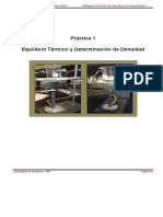 5 P 1 Equilibrio Termico y Densidad 2021