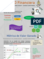 PMO Financiera: Control y Métricas