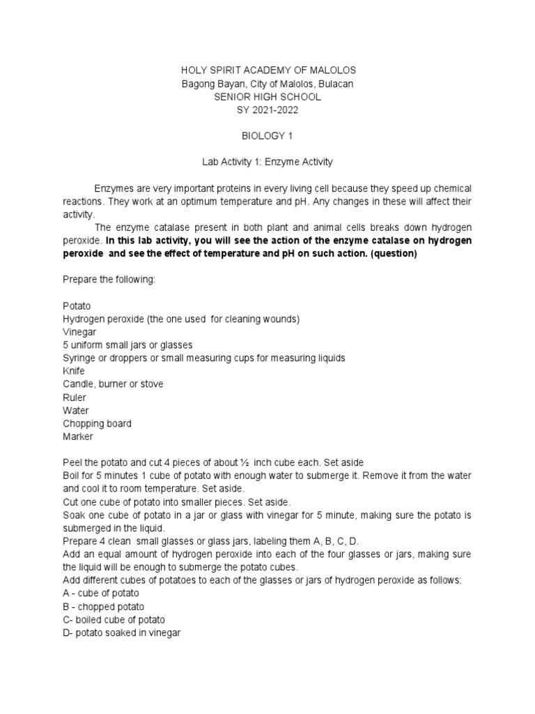 Lab Report Sample PDF Catalase Hydrogen Peroxide