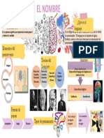 Infografia de Pensamiento y Lenguaje 2