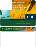 Edisi Indonesia