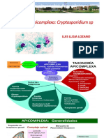 TEMA 10. PHYLUM APICOMPLEXA. Cryptosporidium