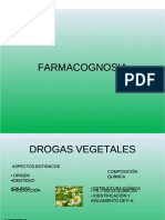 PDF Estrategias Diferenciadas Compress