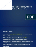 Nucleotides, Purine Biosynthesis and Purine Catabolism