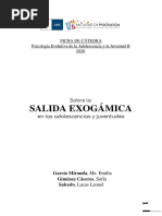 Sobre La Salida Exogámica en Las Adolescencias y Juventudes.