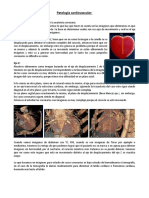 Clase 14 - Patología Cardiovascular PDF Final