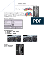 Clase 16 - Medula PDF