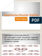 vestibulo-ocularreflex-170224155649