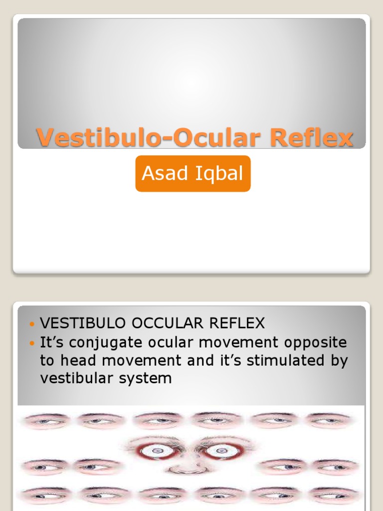 Understanding the Vestibulo-Ocular Reflex | PDF