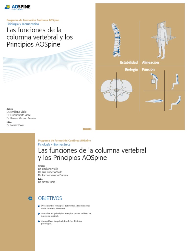 Las Funciones de La Columna Vertebral y Los Principios AOSpine | PDF ...