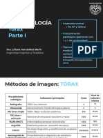 SESIÓN 04 - Parte 1 - Tórax