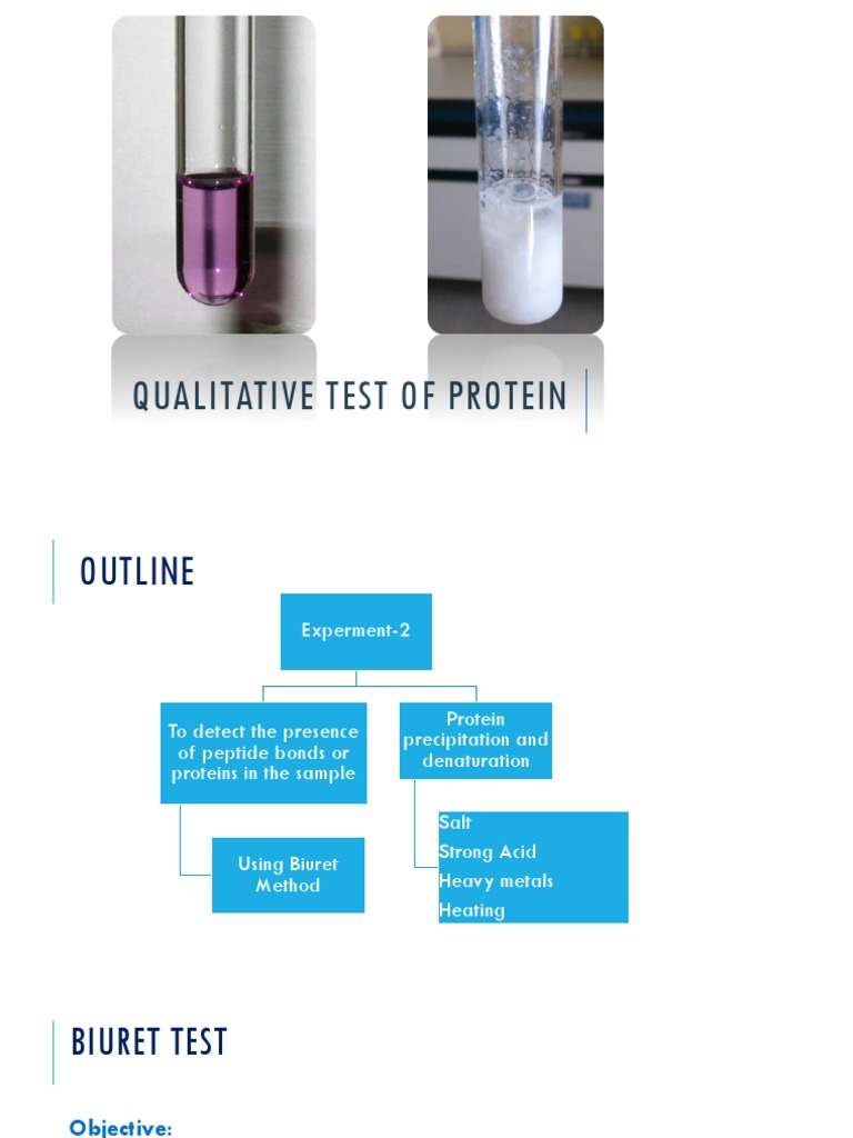Qualitative of Proteins | Download Free PDF | Solubility | Denaturation ...