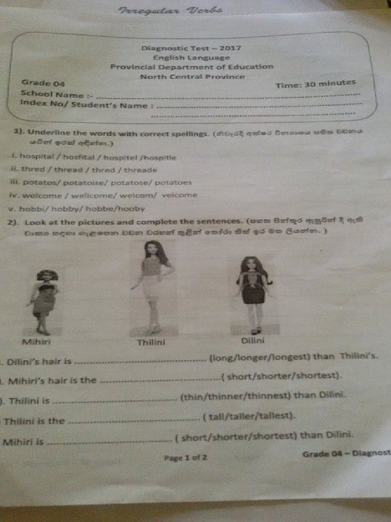 Grade 4 English - Diagnostic Test (2017) - North Central Province | PDF