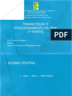 TRANSCRIÇÃO E PROCESSAMENTO DE RNA-1ª PARTE