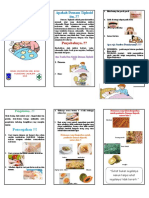 Leaflet Demam Thypoid