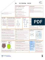02 Molecular Bio A3 Revision-Sheet A3formatms