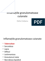 Inflamaţiile Granulomatoase Cutanate