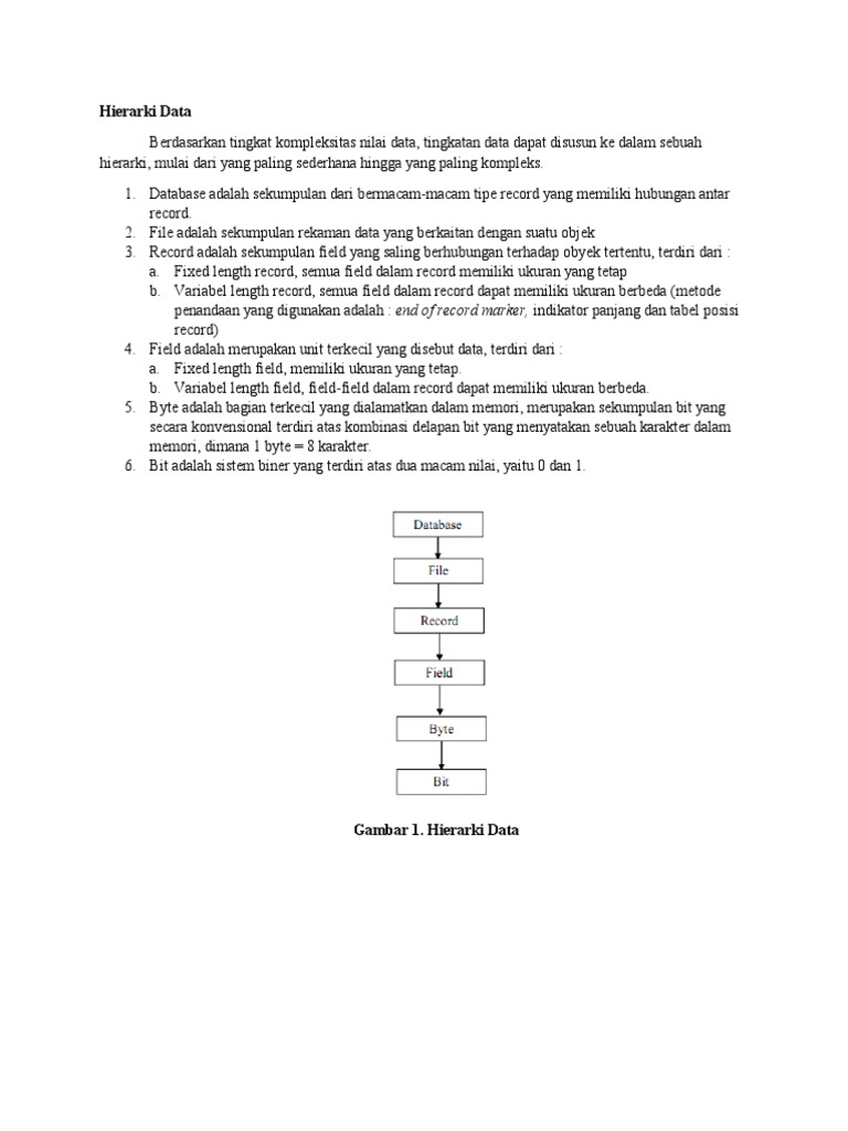 Struktur dan Tingkatan Hierarki Data | PDF
