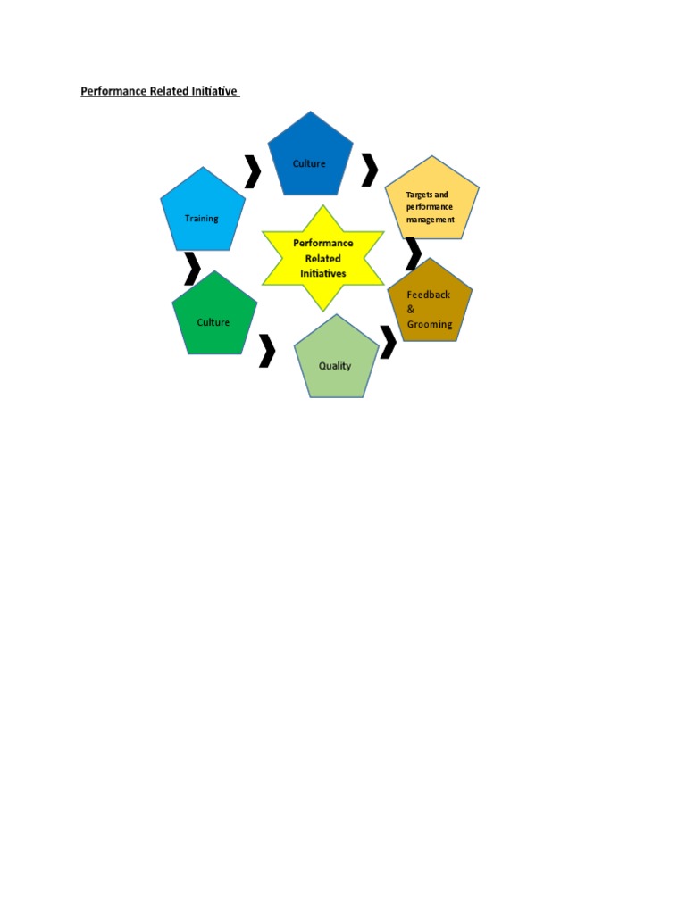 Performance Initiatives | PDF