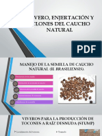 Caucho Natural Agro 3