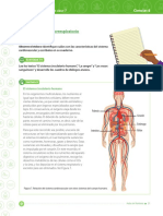 Sistema Cardiorespiratorio y Nervioso