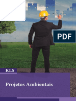 Proj amb