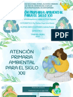 Atención Primaria Ambiental.