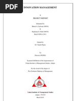Download Innovation Management by rajkumar_bhoraniya SN52133379 doc pdf