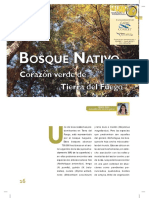 Revista-La-Lupa_1 bosque nativo