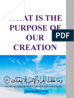 What Is The Purpose of OUR Creation