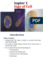 Реферат: Investigating Enzymes Essay Research Paper Research Enzymesexist