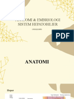 Anatomi Embriologi Hepatobilier