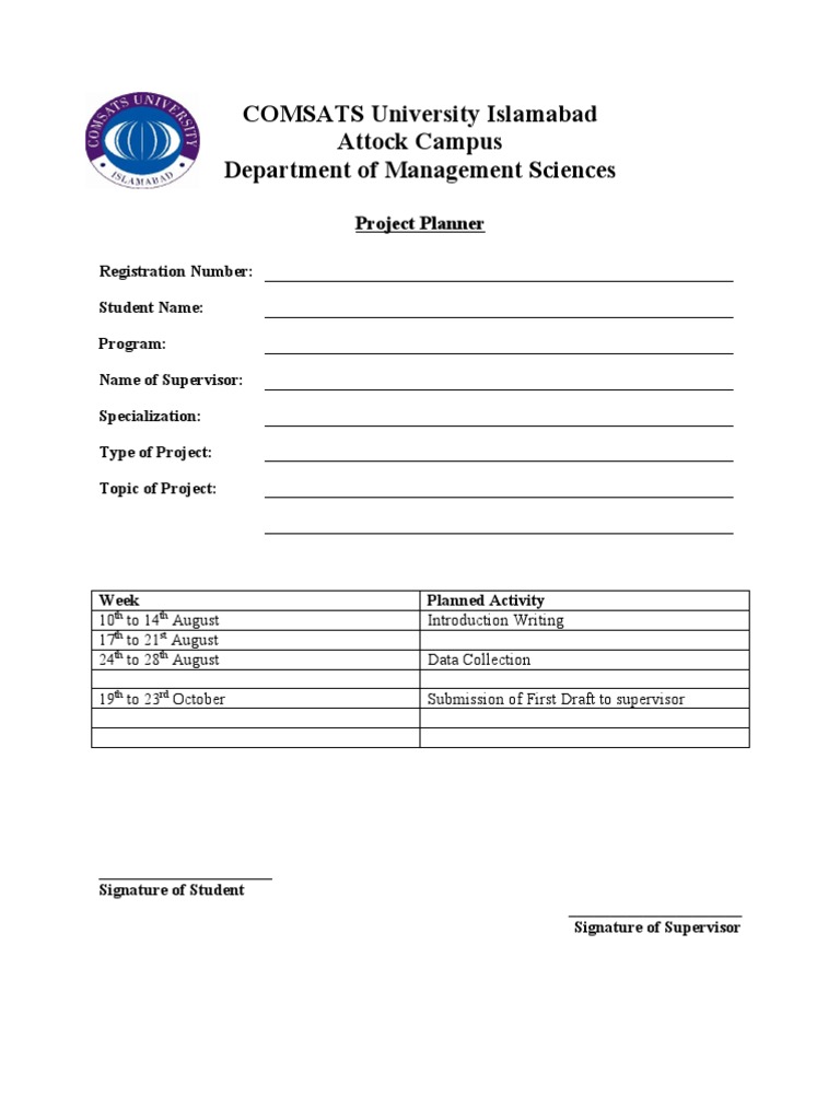 Format and Sample Project Planner | PDF | Art | Science & Mathematics