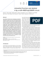 Coupling of Mitochondrial Function and Skeletal Muscle Fiber Type by A miR-499:Fnip1:AMPK Circuit