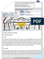 Módulo 6° Biologia 1 Pdo