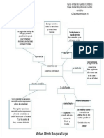 Mapa Mental Registro de Cuentas Contables. 2021