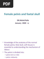 Ascites Examination Shifting Dullness Fluid Thrill Puddle Sign | PDF ...