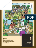 Derechos de Los Pueblos Indigenas Aprobada