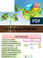 La Celula Vegetal