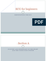 Basic ECG For Beginners