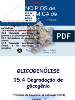 Metabolismo Glicognio Regulaoremoto2020